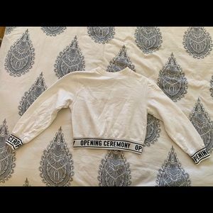 Opening Ceremony Crop Sweater